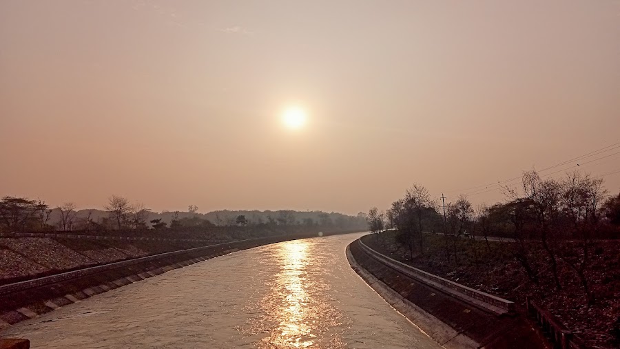Chilla Wildlife Sanctuary - Photo 4