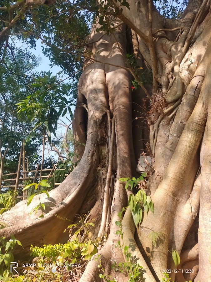 Unakoti Rock Carvings - Photo 5