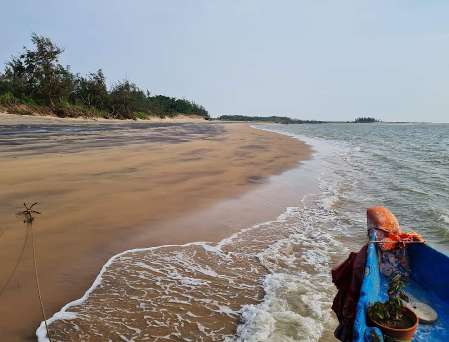 Gahirmatha Marine Sanctuary - Photo 4