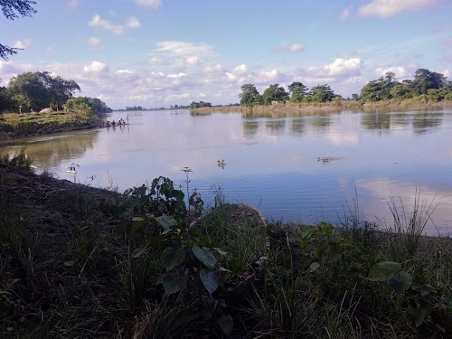 Majuli - Photo 5