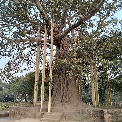 Shravasti - Photo 4