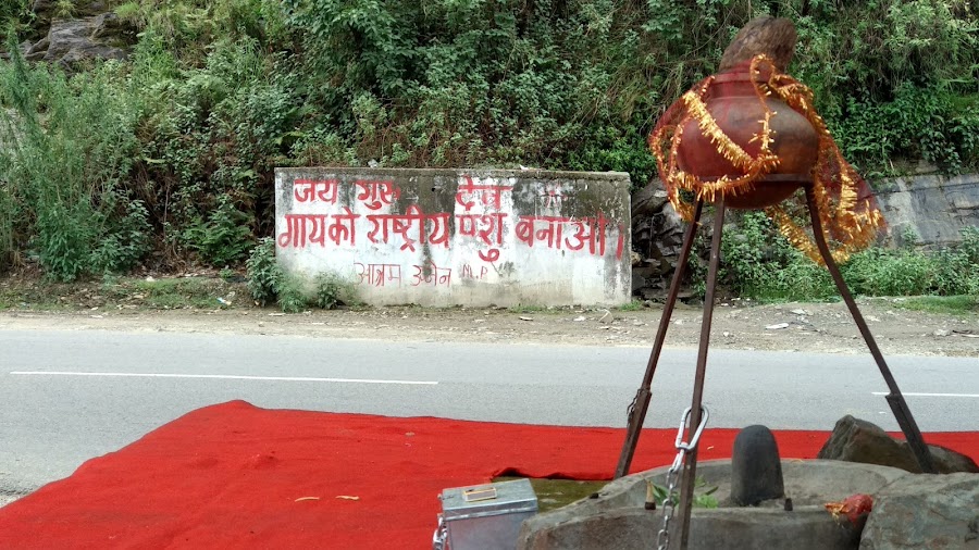 Pandoh Dam - Photo 4