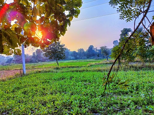 Saintala - Photo 4