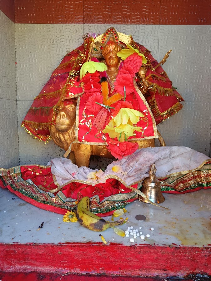 Dhwaj Temple - Photo 8