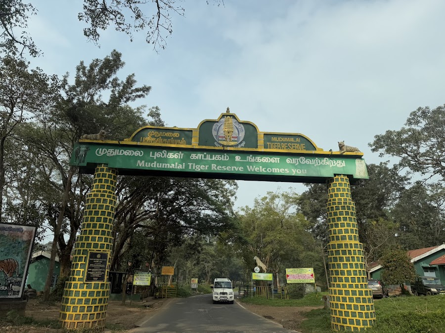 Mudumalai Tiger Reserve - Photo 3