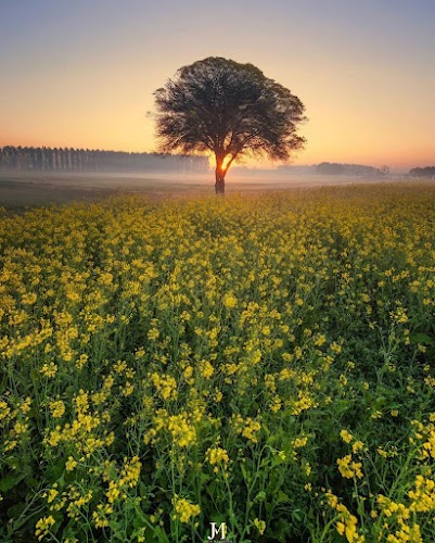 Ludhiana - Photo 3
