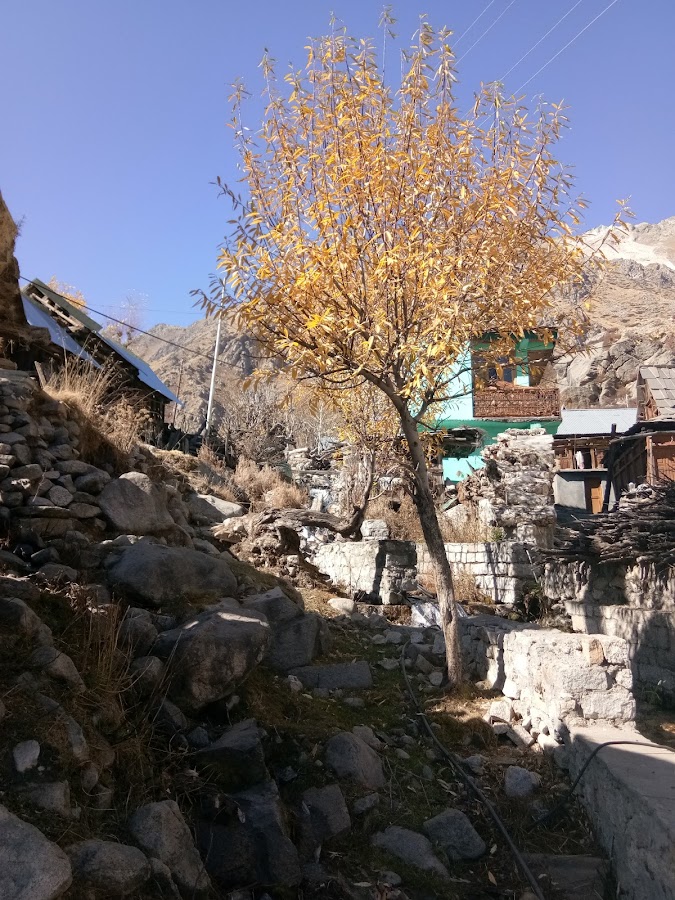 Chitkul - Photo 4