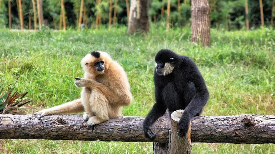 Intanki Wildlife Sanctuary - Photo 3