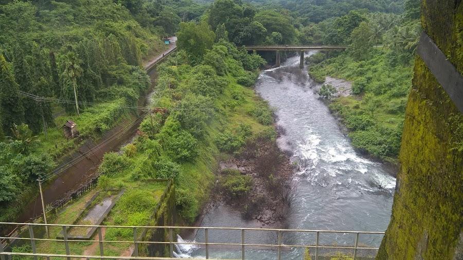 Peruvannamuzhi Dam - Photo 3