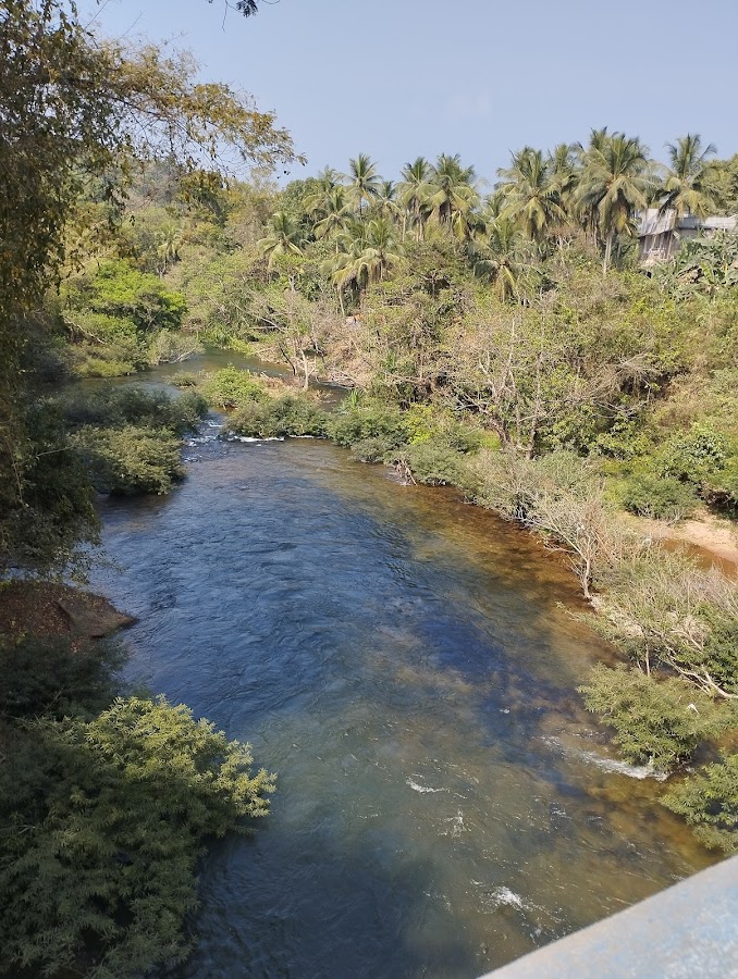 Peruvannamuzhi Dam - Photo 4