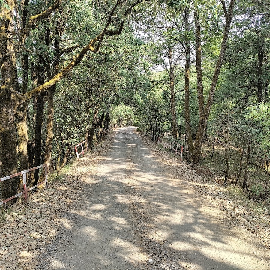 Binsar Zero Point - Photo 3