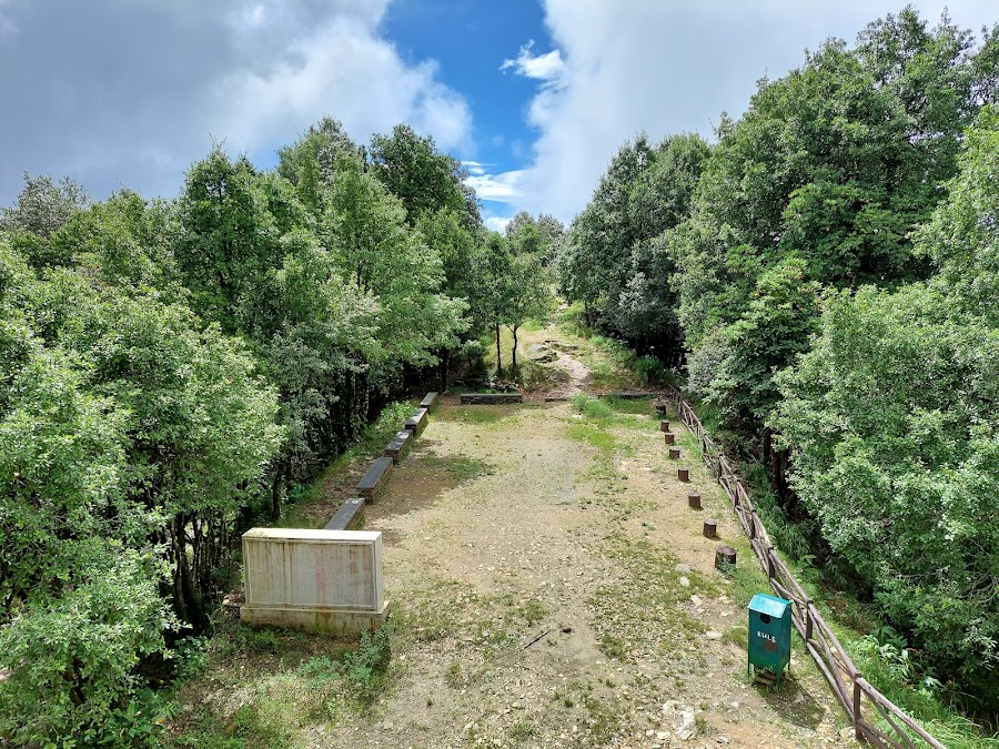 Binsar Zero Point - Photo 9