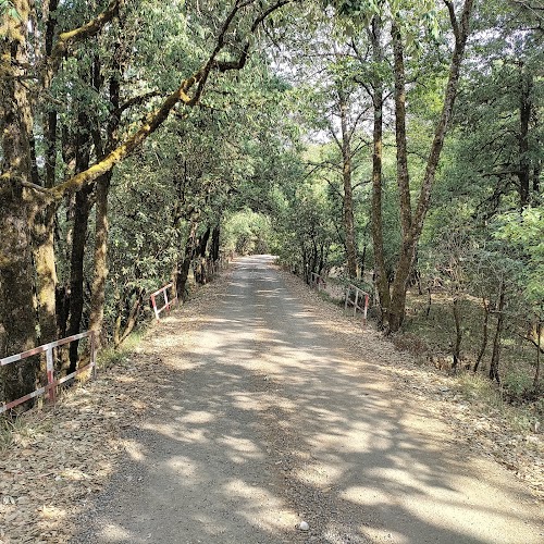 Binsar Zero Point - Photo 4