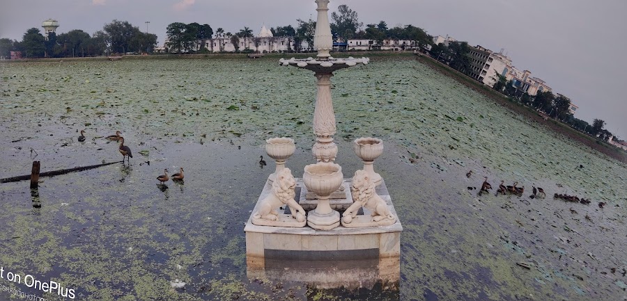 Pawapuri - Photo 3