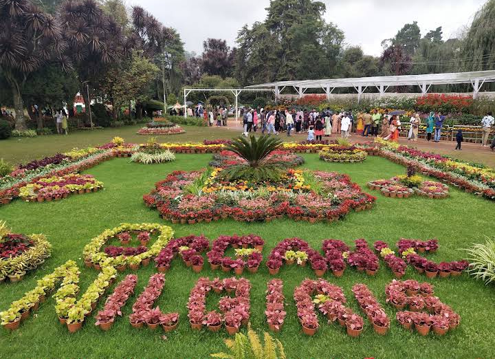 Government Botanical Garden - Photo 3