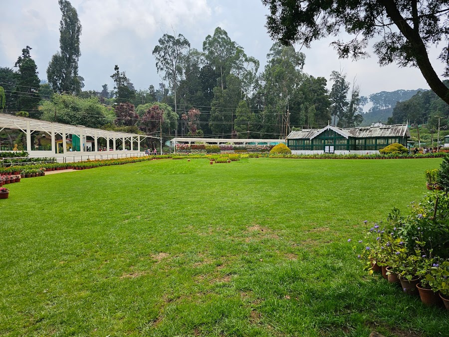 Government Botanical Garden - Photo 4
