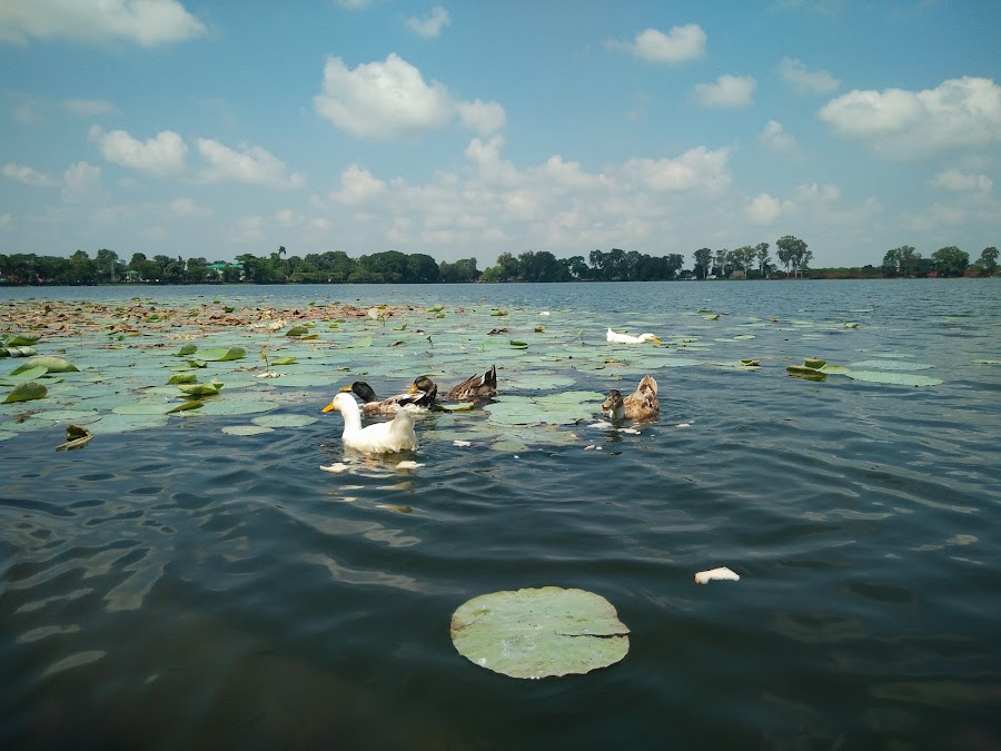 Joysagar Tank - Photo 3