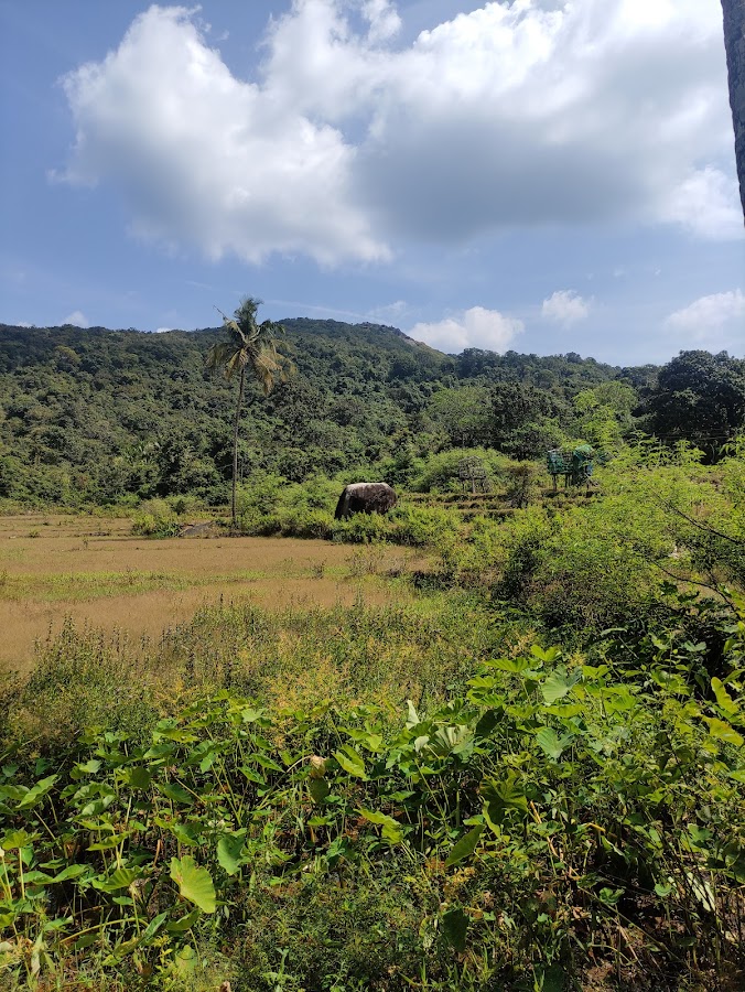 Guddehalli Gudda - Photo 3