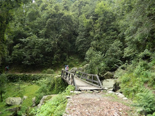 Dhakuri - Photo 3
