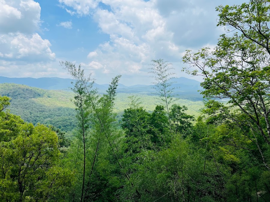 Parambikulam Tiger Reserve - Photo 2