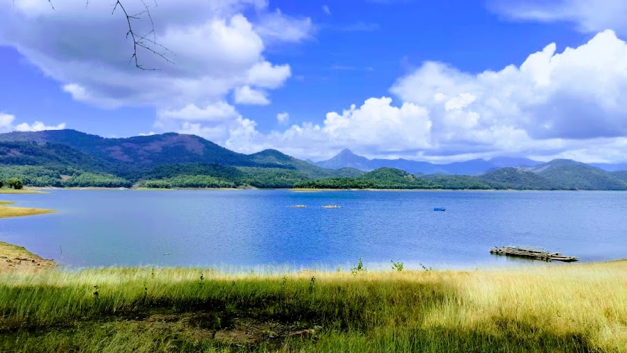 Parambikulam Tiger Reserve - Photo 4