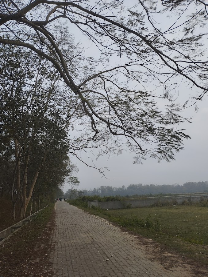 Hazara Pukhuri - Photo 4