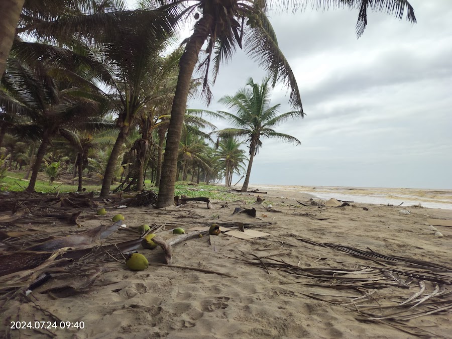Perupalem Beach - Photo 3