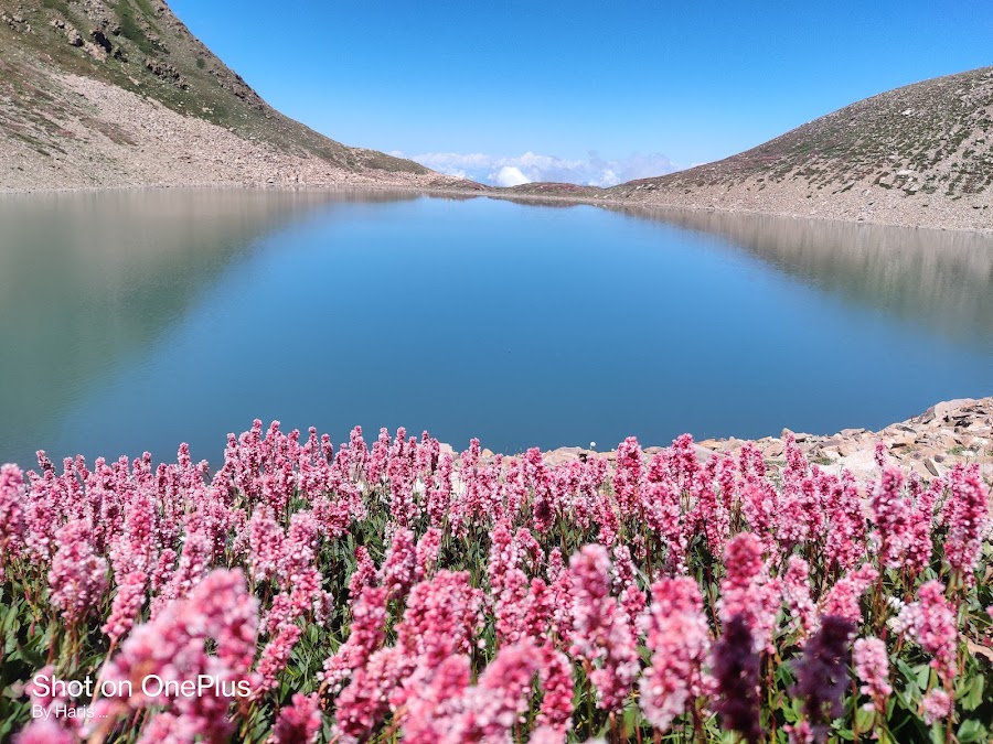 Alpather Lake - Photo 3