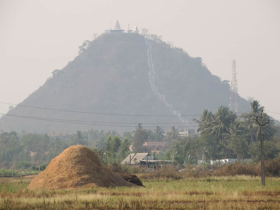 Korukonda Narasimha Swamy Temple - Photo 4