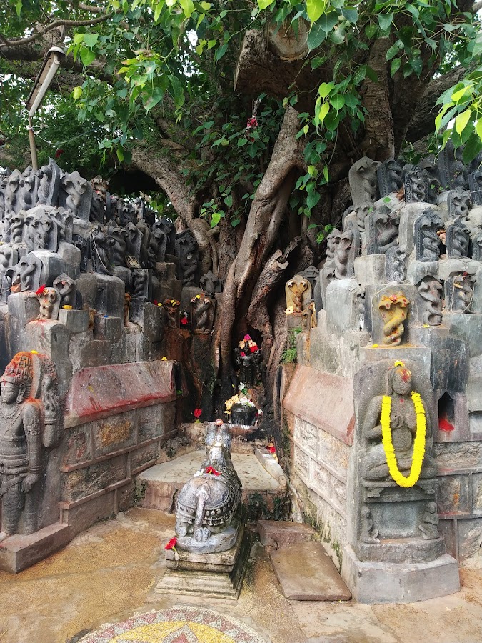 Pancharama Kshetras - Photo 2