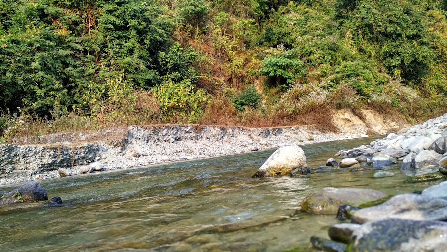 Mahananda Wildlife Sanctuary - Photo 9