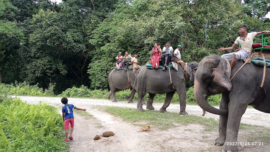 Mahananda Wildlife Sanctuary - Photo 7