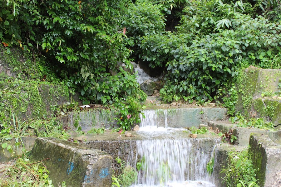 Mahananda Wildlife Sanctuary - Photo 6