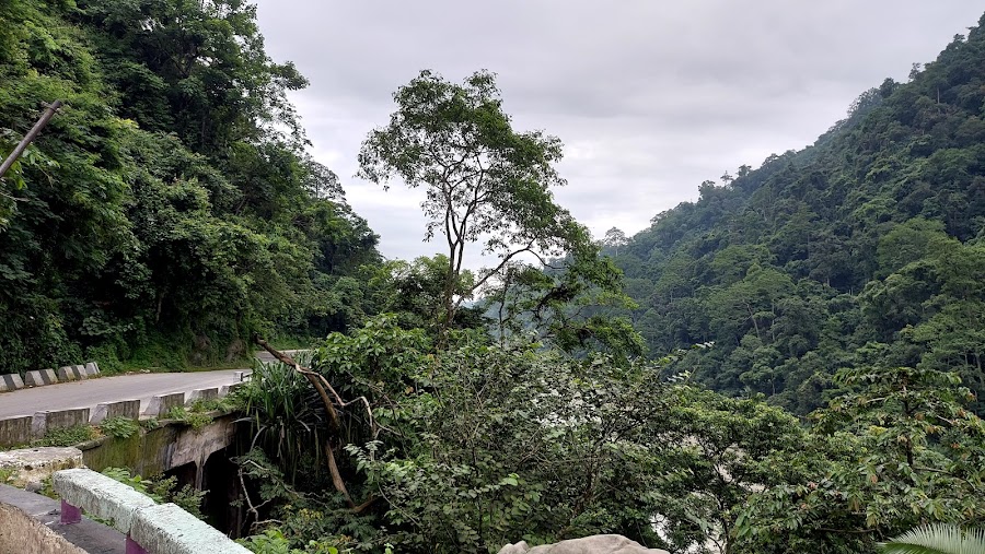 Mahananda Wildlife Sanctuary - Photo 8