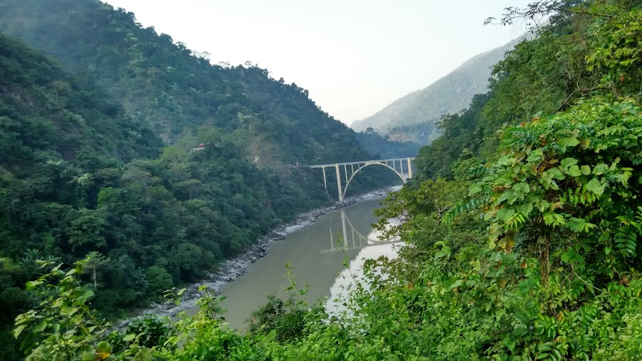Mahananda Wildlife Sanctuary - Photo 2