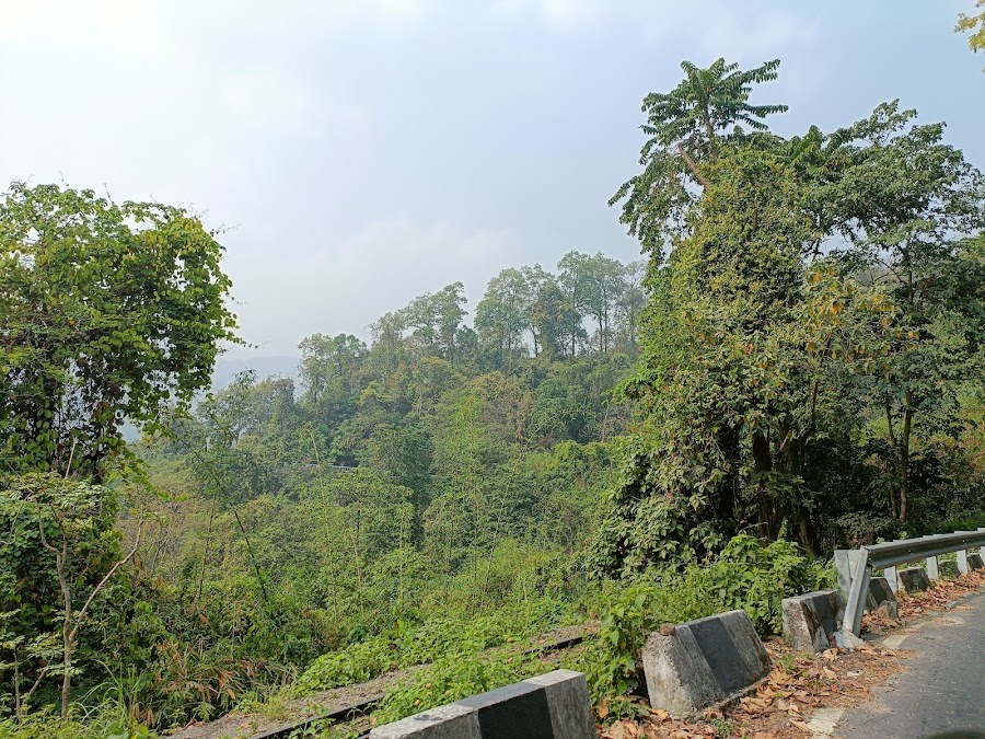 Mahananda Wildlife Sanctuary - Photo 4