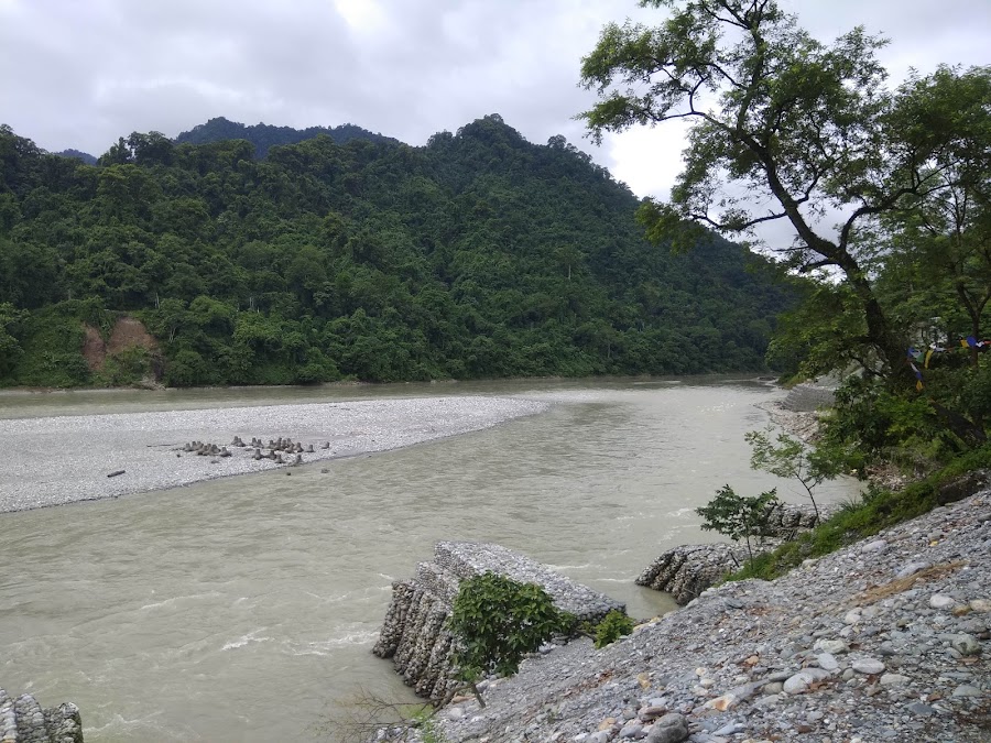 Mahananda Wildlife Sanctuary - Photo 5