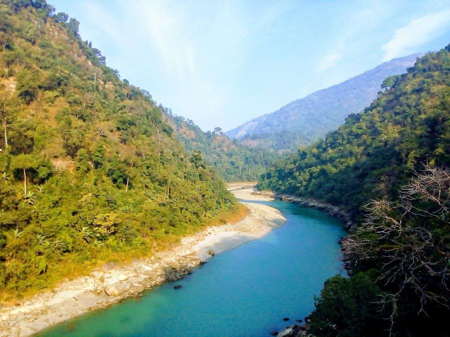Mahananda Wildlife Sanctuary - Photo 3