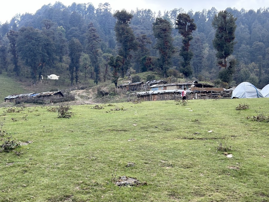 Dayara Bugyal - Photo 5