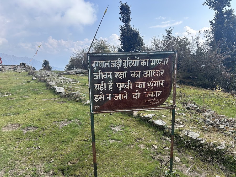 Dayara Bugyal - Photo 10