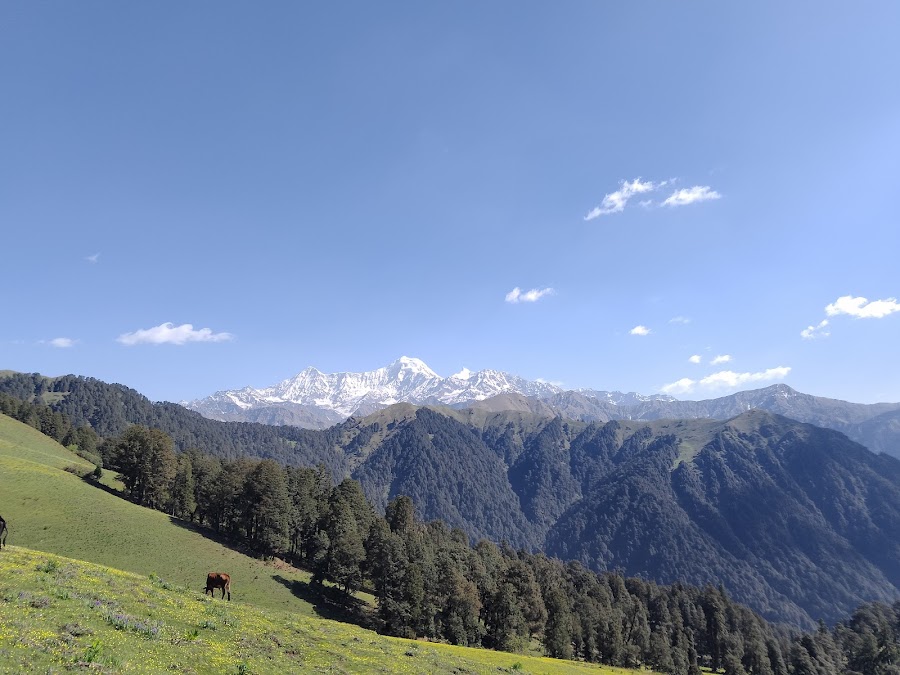 Dayara Bugyal - Photo 3