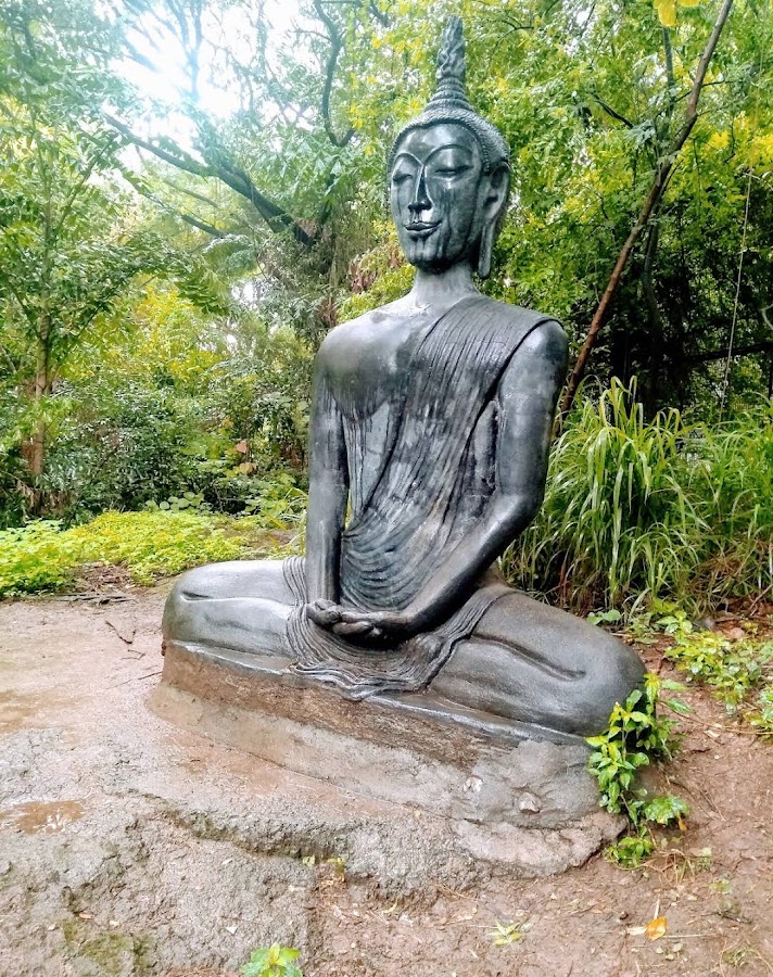 Osho International Meditation Resort - Photo 4
