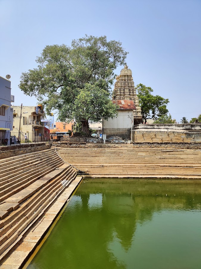 Shri Someshwara Swamy Temple - Photo 4