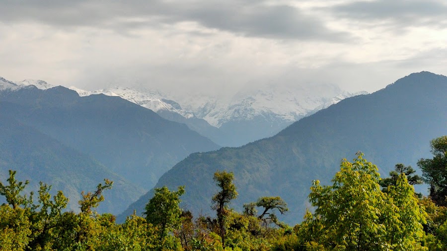 Deoria Tal - Photo 4