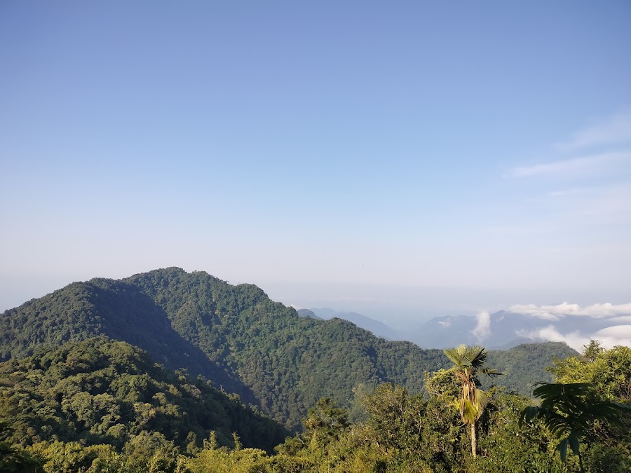 Borail Range - Photo 2