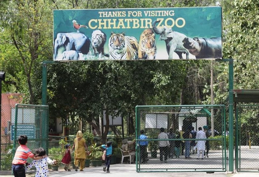 Chattbir Zoo - Photo 2
