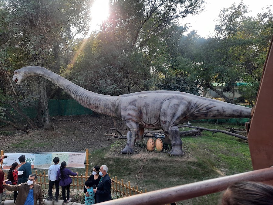 Chattbir Zoo - Photo 4