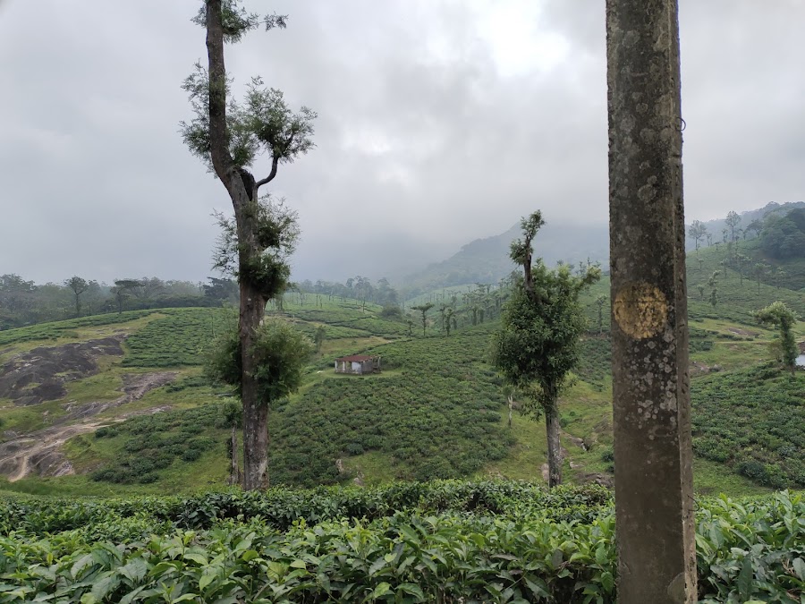 Kesavan Para Viewpoint - Photo 3