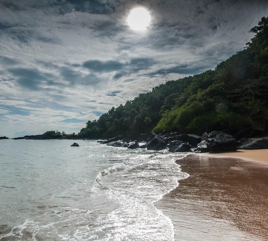 Half Moon Beach - Photo 3
