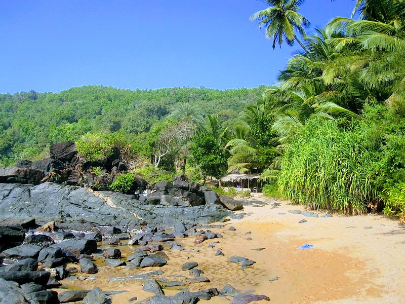 Half Moon Beach - Photo 4